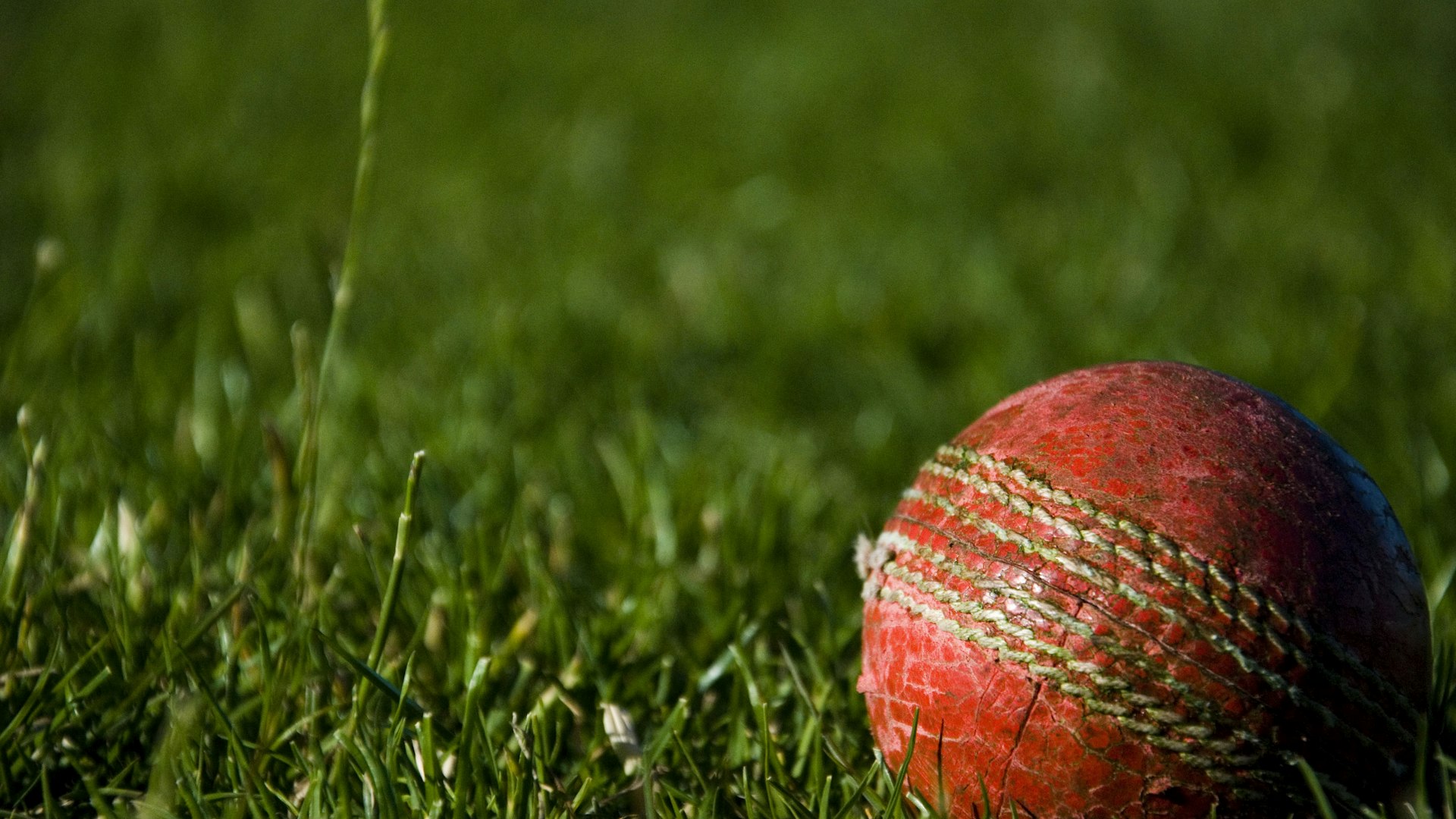 LEwin乐玩顶奢体验背景 - 璀璨灯光下的豪华娱乐场桌面